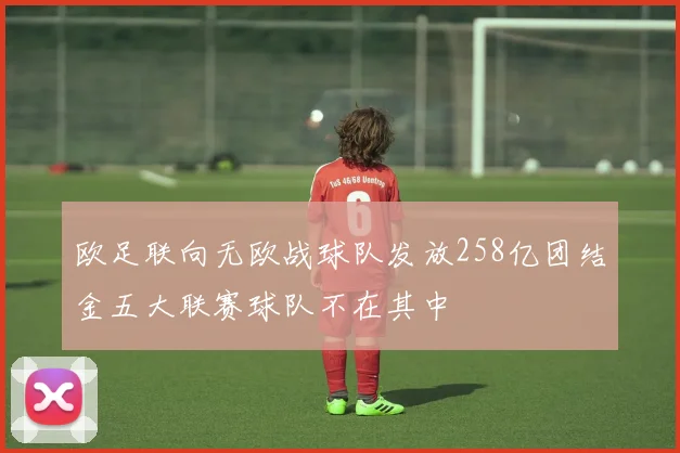 欧足联向无欧战球队发放258亿团结金五大联赛球队不在其中