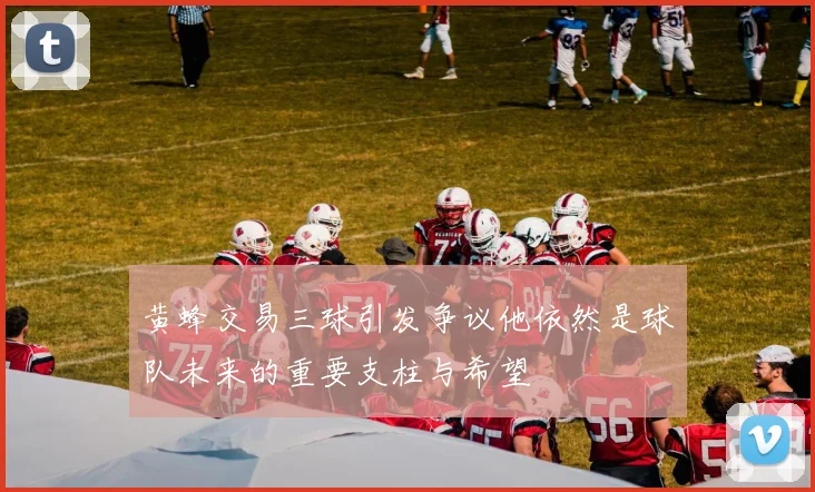 黄蜂交易三球引发争议他依然是球队未来的重要支柱与希望