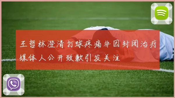 王哲林澄清打球疼痛非因封闭治疗媒体人公开致歉引发关注